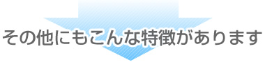 その他にもこんな特徴があります
