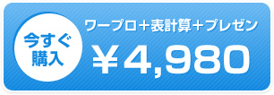 購入する￥4,980